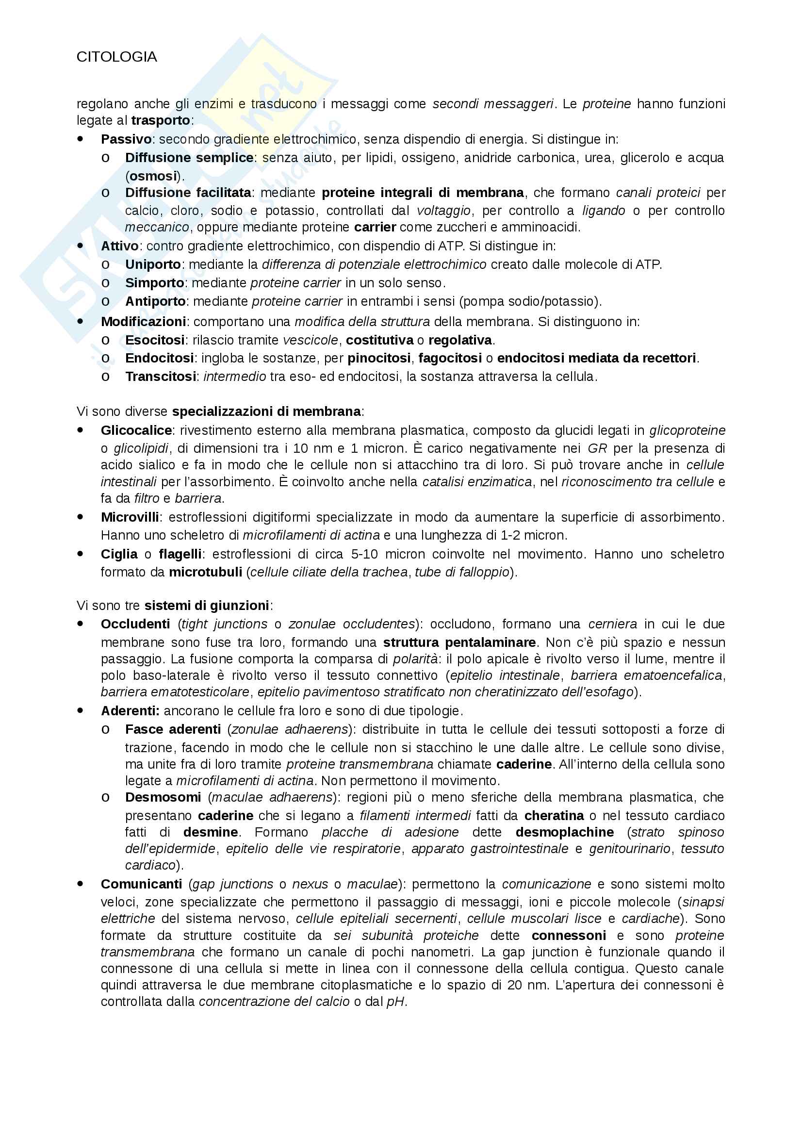 Citologia per vetrini Pag. 2