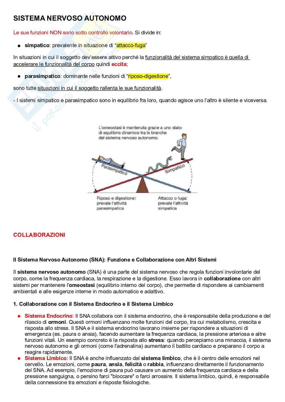 Fisiologia del sistema nervoso autonomo Pag. 1