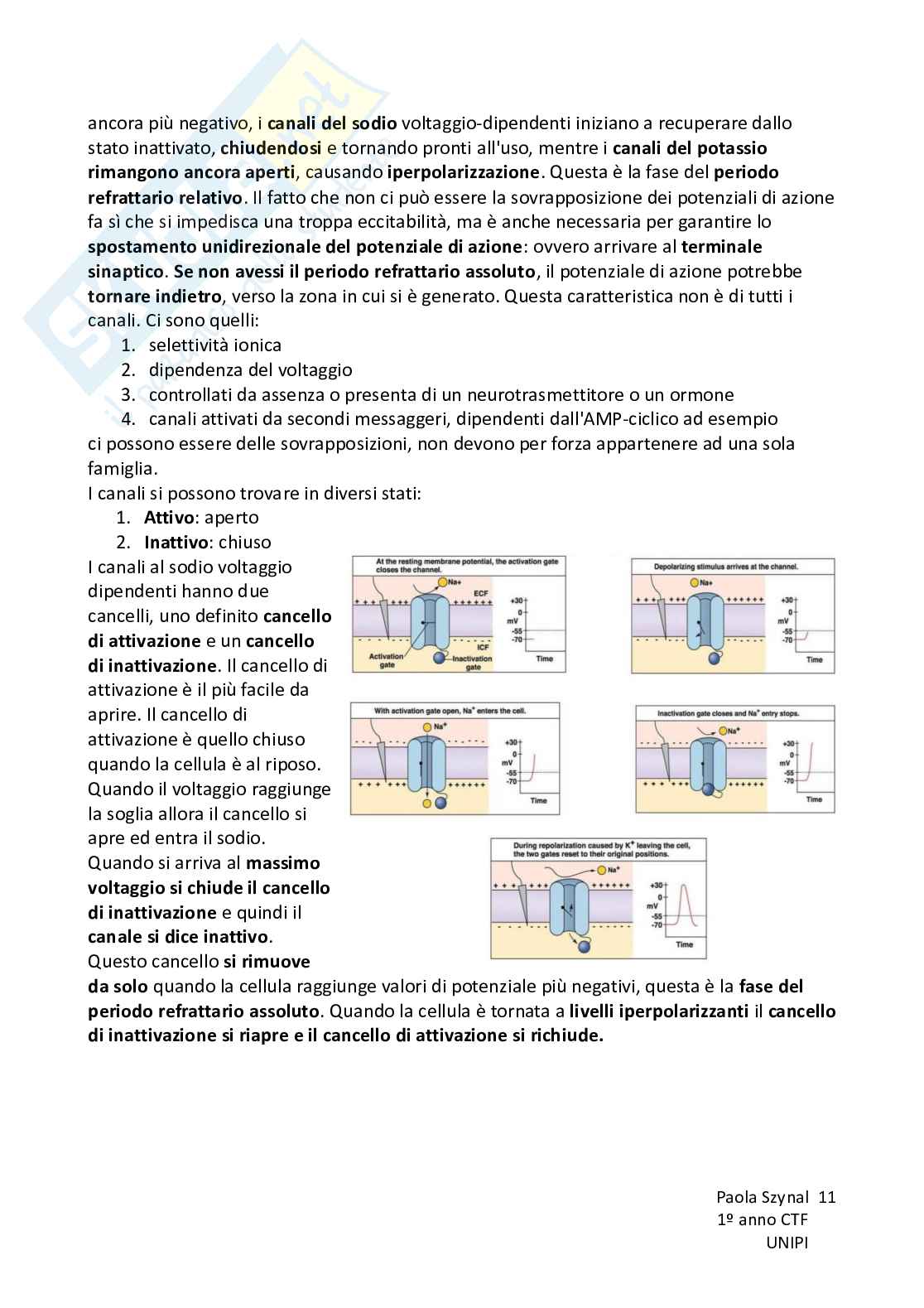Riassunto esame Fisiologia umana, Prof. Piano Ilaria, libro consigliato Fisiologia - L’essenziale, Murloney, Myers Pag. 11