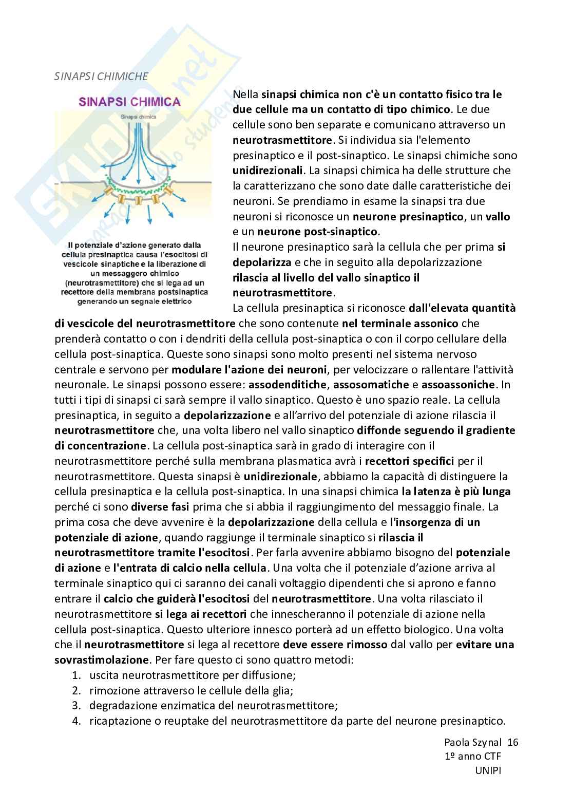 Riassunto esame Fisiologia umana, Prof. Piano Ilaria, libro consigliato Fisiologia - L’essenziale, Murloney, Myers Pag. 16