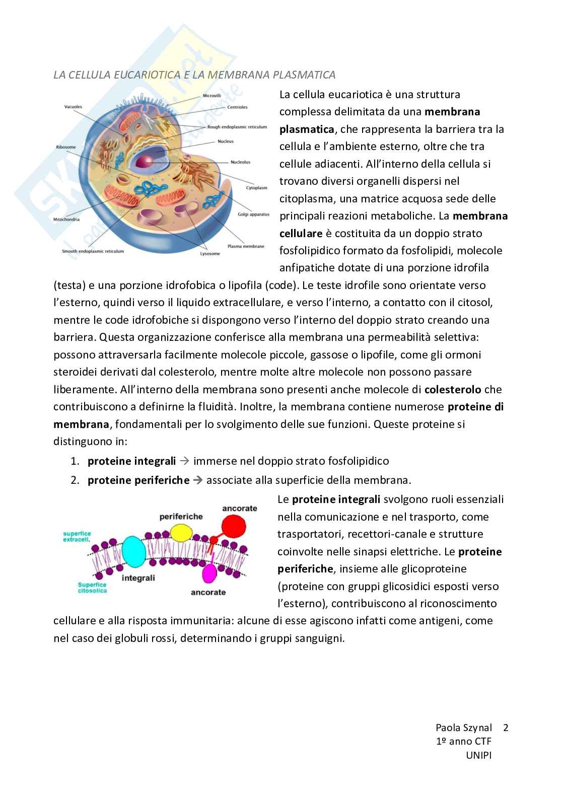 Riassunto esame Fisiologia umana, Prof. Piano Ilaria, libro consigliato Fisiologia - L’essenziale, Murloney, Myers Pag. 2
