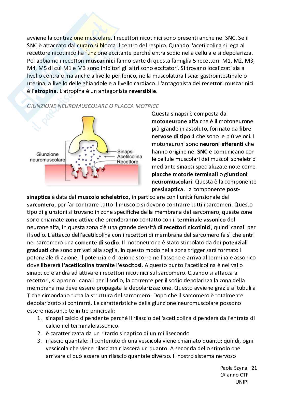 Riassunto esame Fisiologia umana, Prof. Piano Ilaria, libro consigliato Fisiologia - L’essenziale, Murloney, Myers Pag. 21