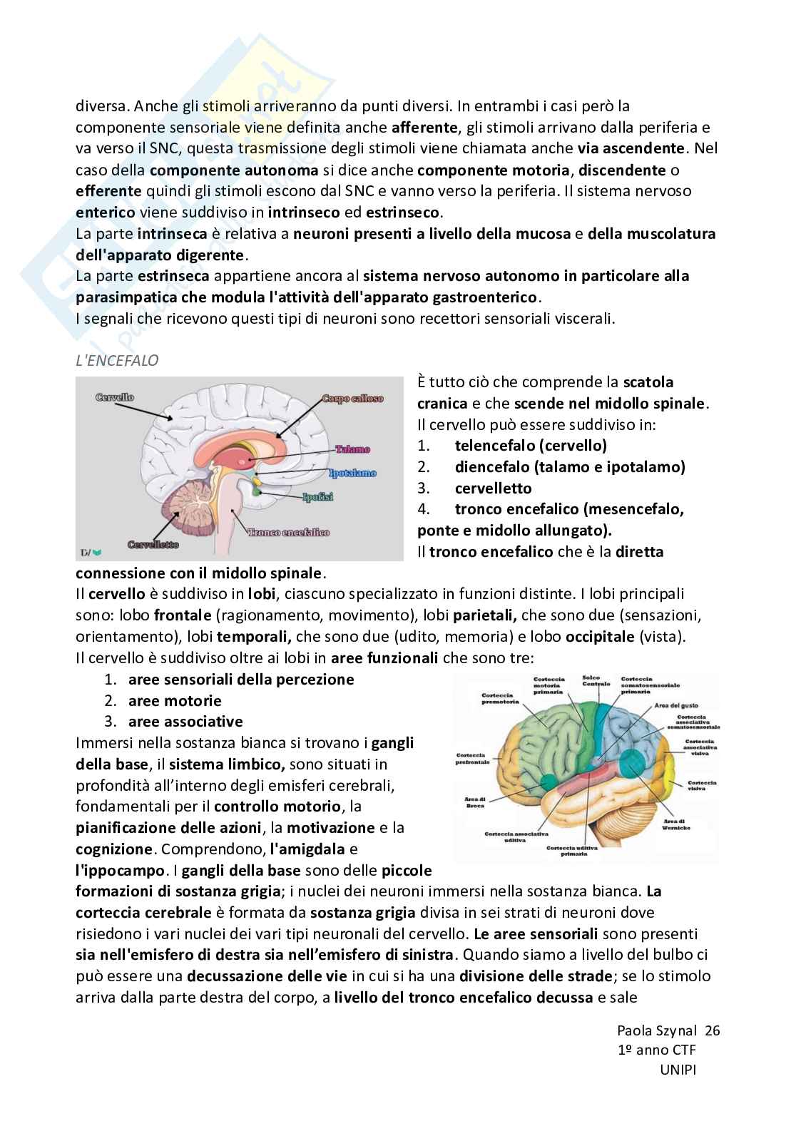 Riassunto esame Fisiologia umana, Prof. Piano Ilaria, libro consigliato Fisiologia - L’essenziale, Murloney, Myers Pag. 26
