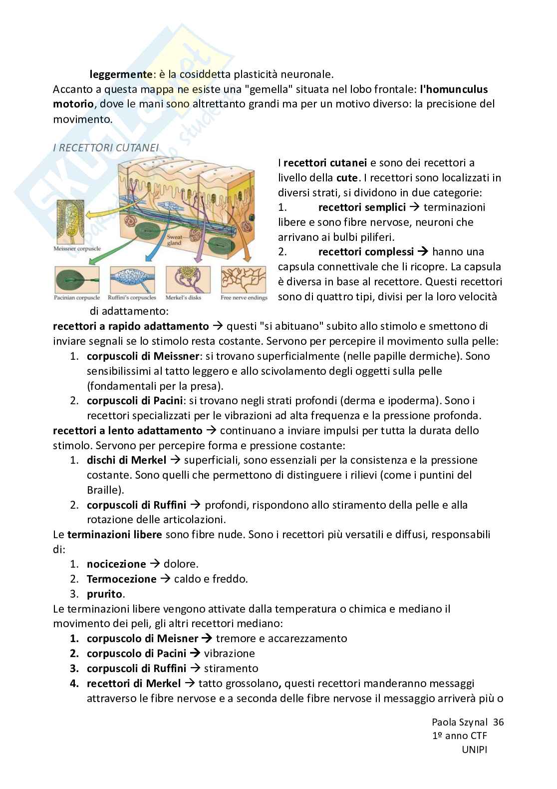 Riassunto esame Fisiologia umana, Prof. Piano Ilaria, libro consigliato Fisiologia - L’essenziale, Murloney, Myers Pag. 36