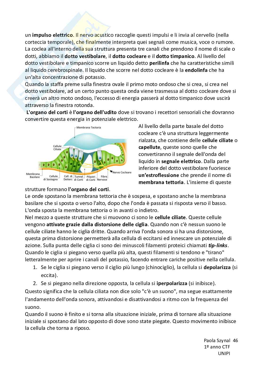 Riassunto esame Fisiologia umana, Prof. Piano Ilaria, libro consigliato Fisiologia - L’essenziale, Murloney, Myers Pag. 46