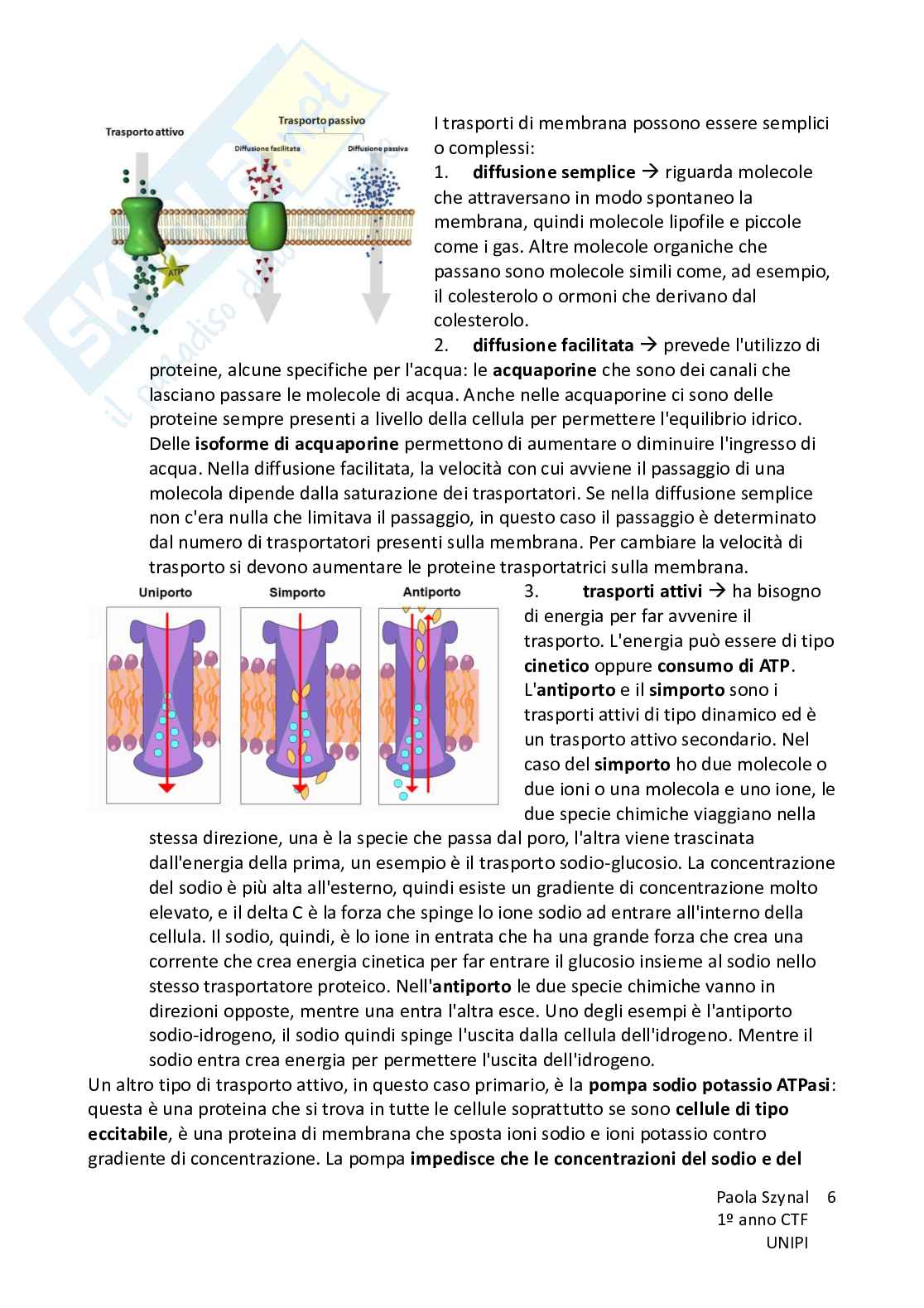 Riassunto esame Fisiologia umana, Prof. Piano Ilaria, libro consigliato Fisiologia - L’essenziale, Murloney, Myers Pag. 6