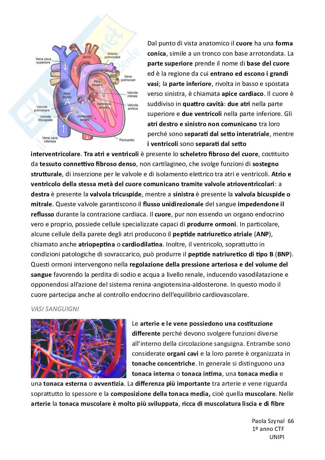 Riassunto esame Fisiologia umana, Prof. Piano Ilaria, libro consigliato Fisiologia - L’essenziale, Murloney, Myers Pag. 66