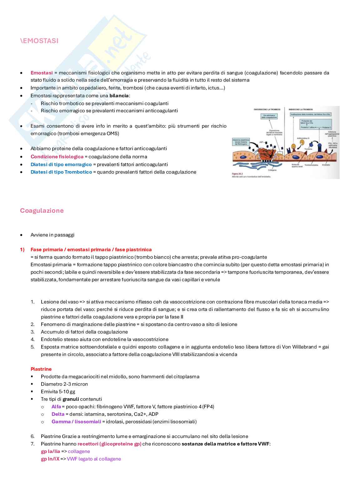 Appunti completi di Biochimica clinica e biologia molecolare clinica  Pag. 21