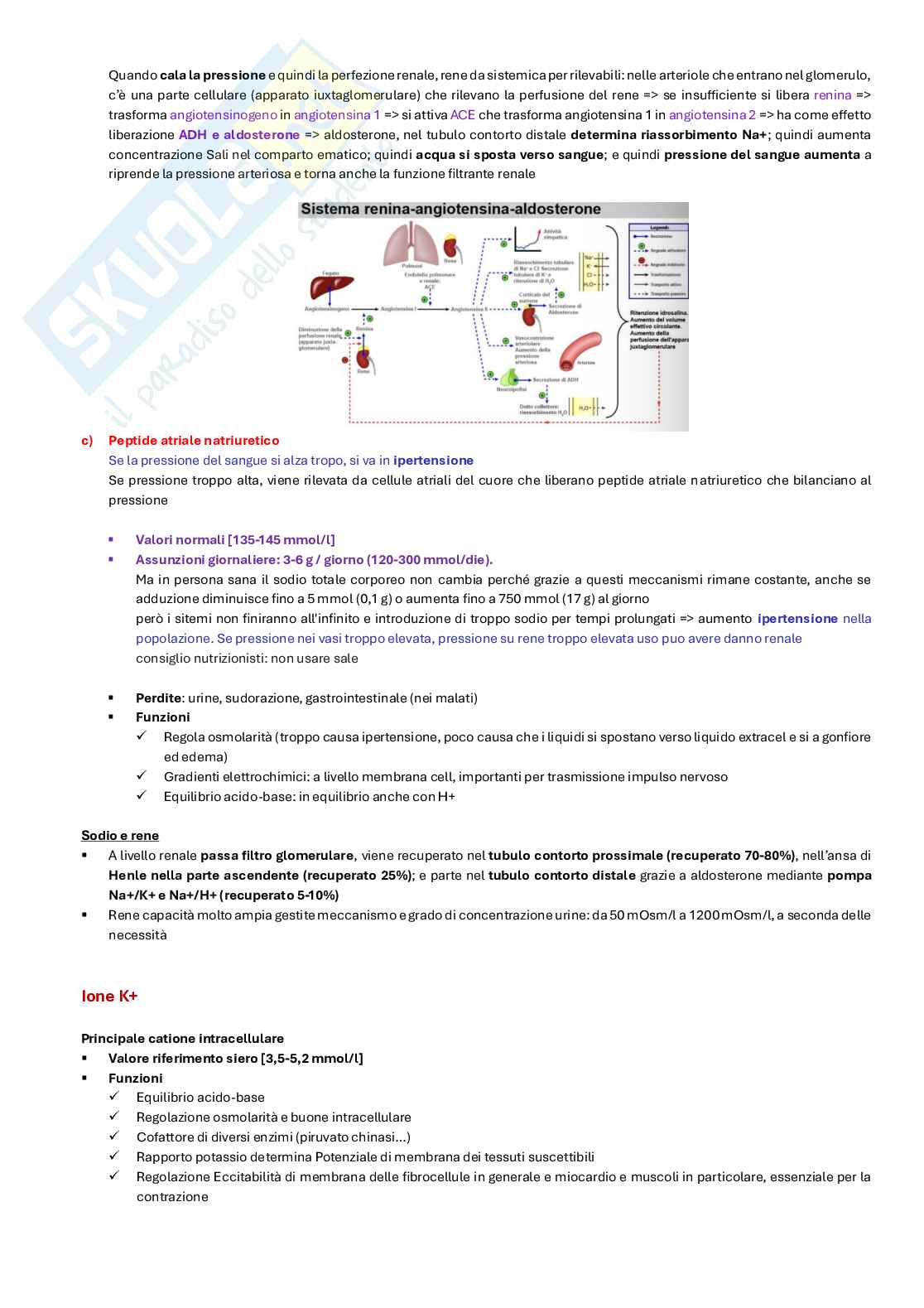 Appunti completi di Biochimica clinica e biologia molecolare clinica  Pag. 36