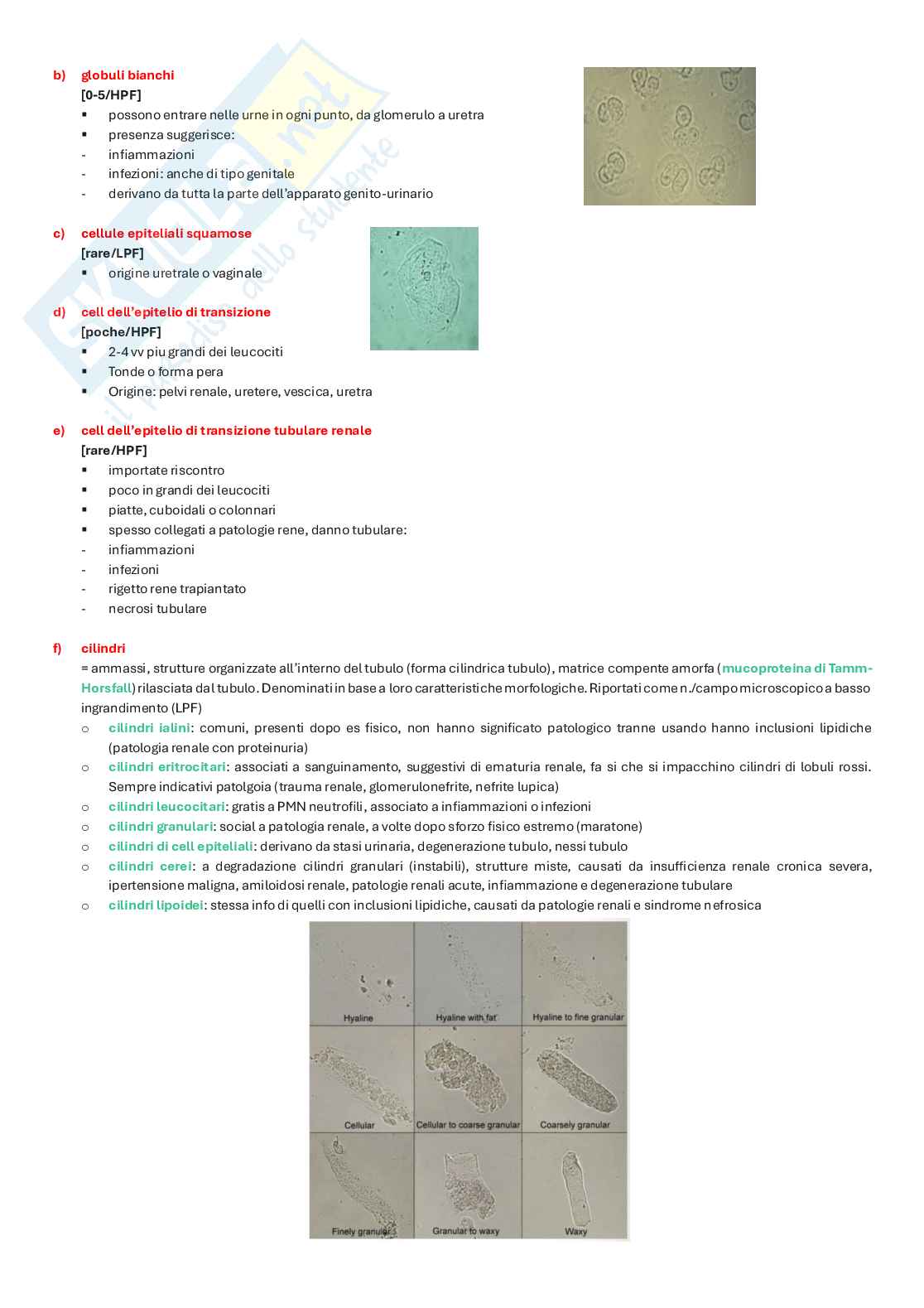 Appunti completi di Biochimica clinica e biologia molecolare clinica  Pag. 46