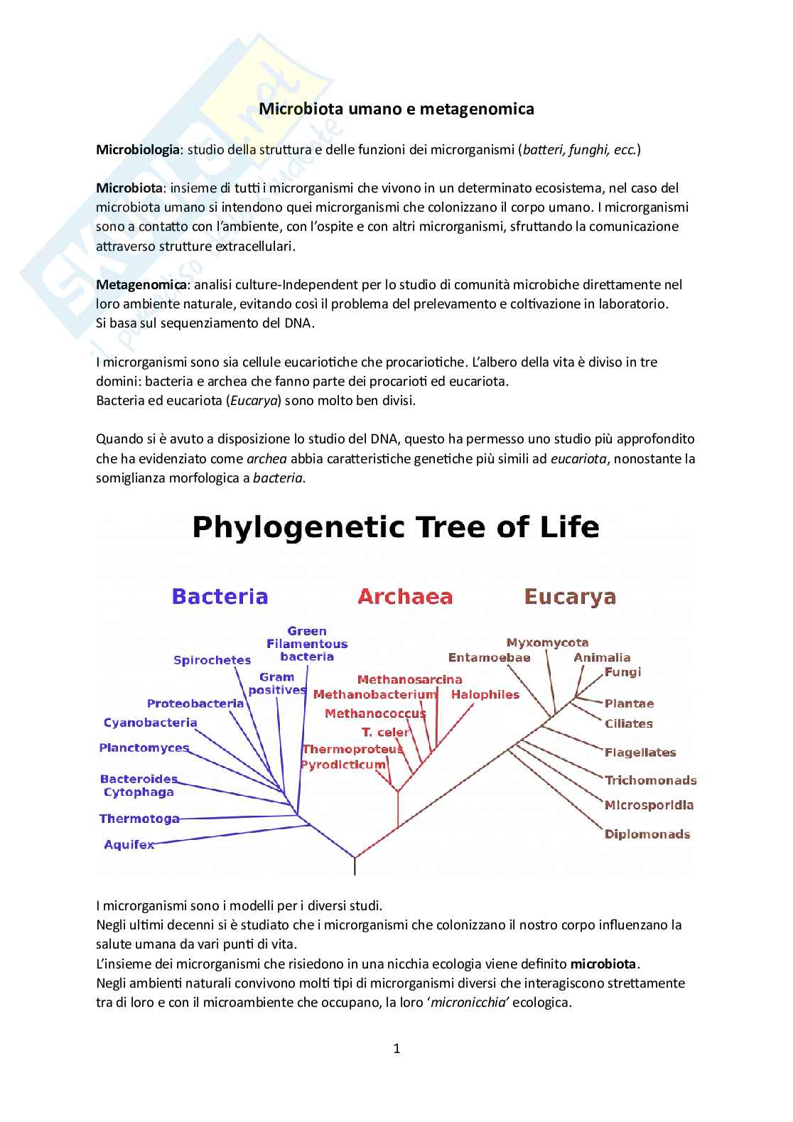 Microbiota umano e metagenomica Pag. 1
