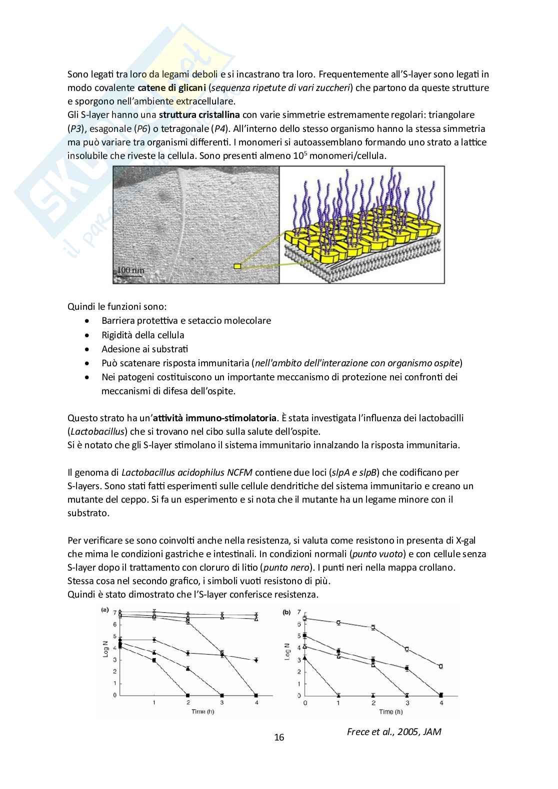 Microbiota umano e metagenomica Pag. 16