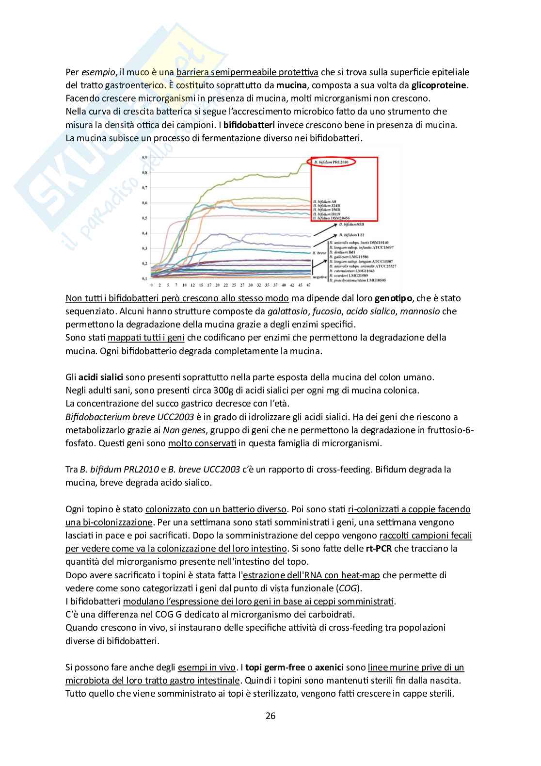 Microbiota umano e metagenomica Pag. 26