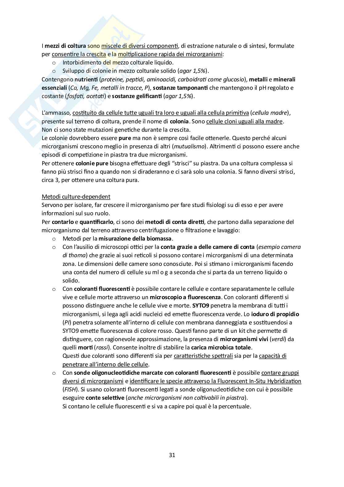 Microbiota umano e metagenomica Pag. 31