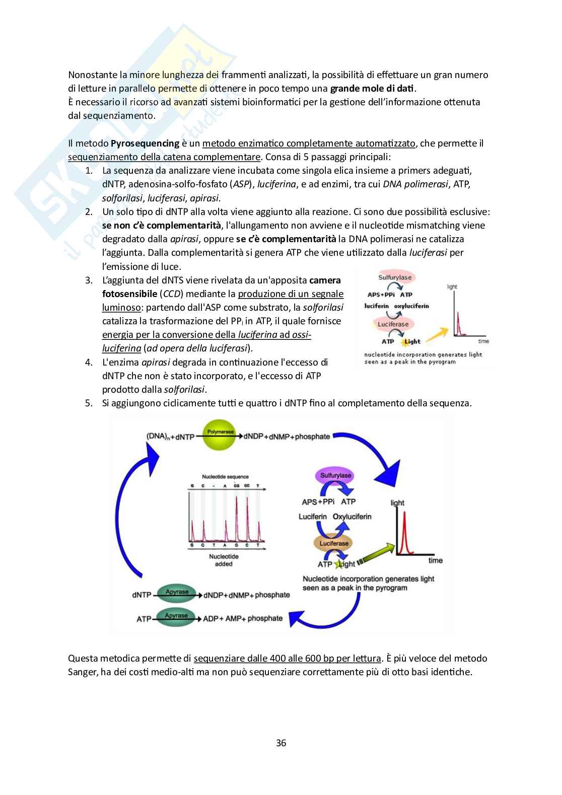Microbiota umano e metagenomica Pag. 36