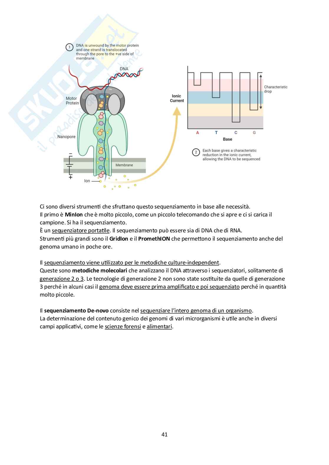 Microbiota umano e metagenomica Pag. 41