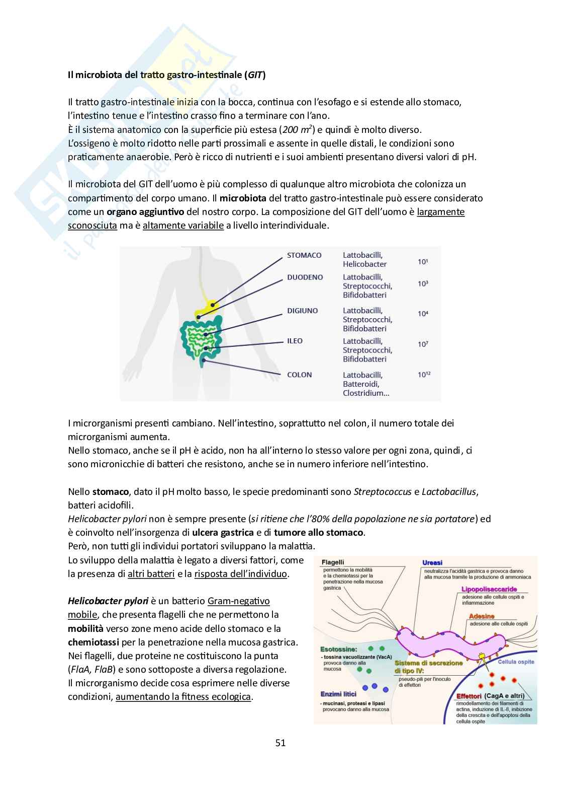 Microbiota umano e metagenomica Pag. 51
