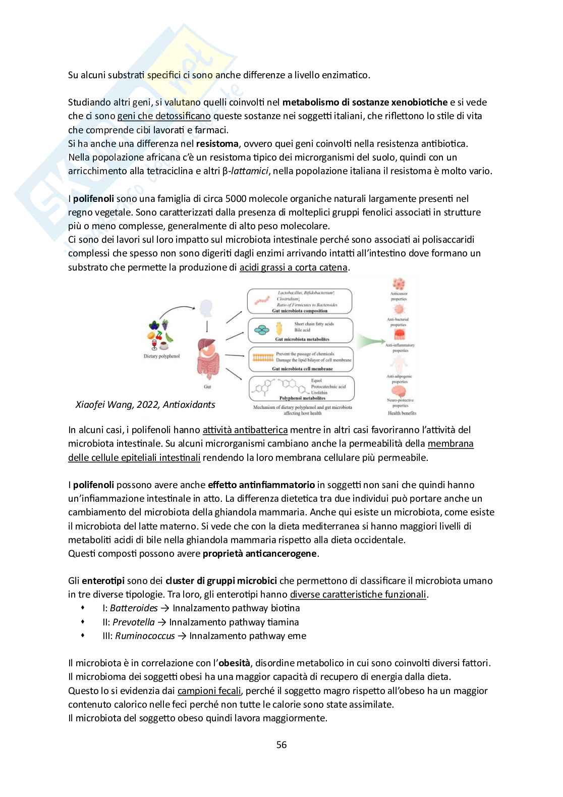 Microbiota umano e metagenomica Pag. 56
