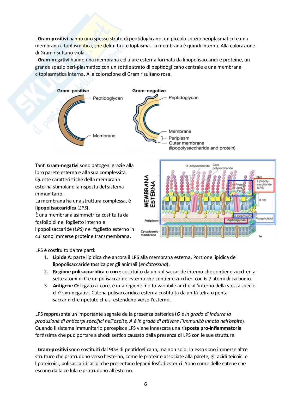 Microbiota umano e metagenomica Pag. 6