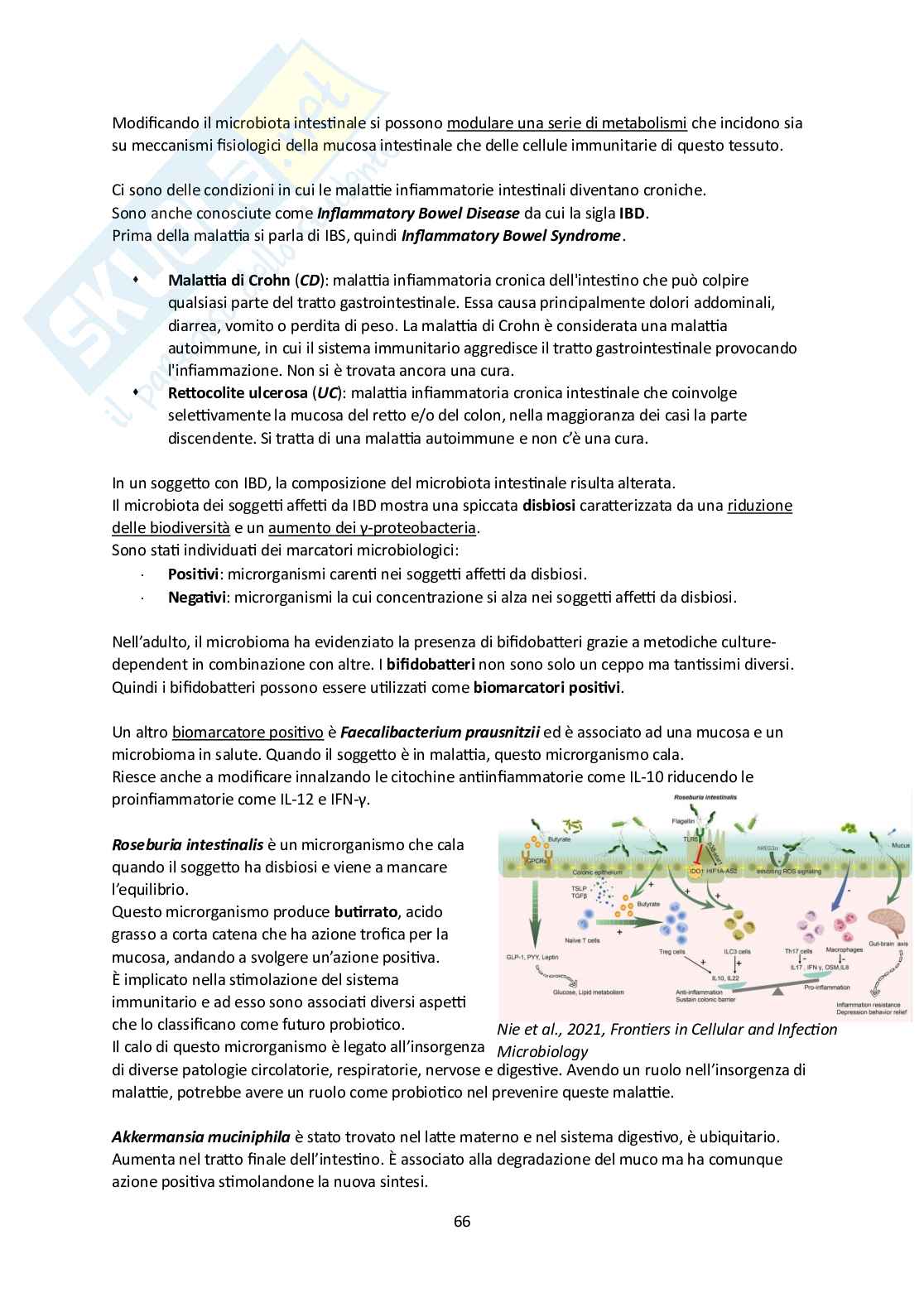 Microbiota umano e metagenomica Pag. 66
