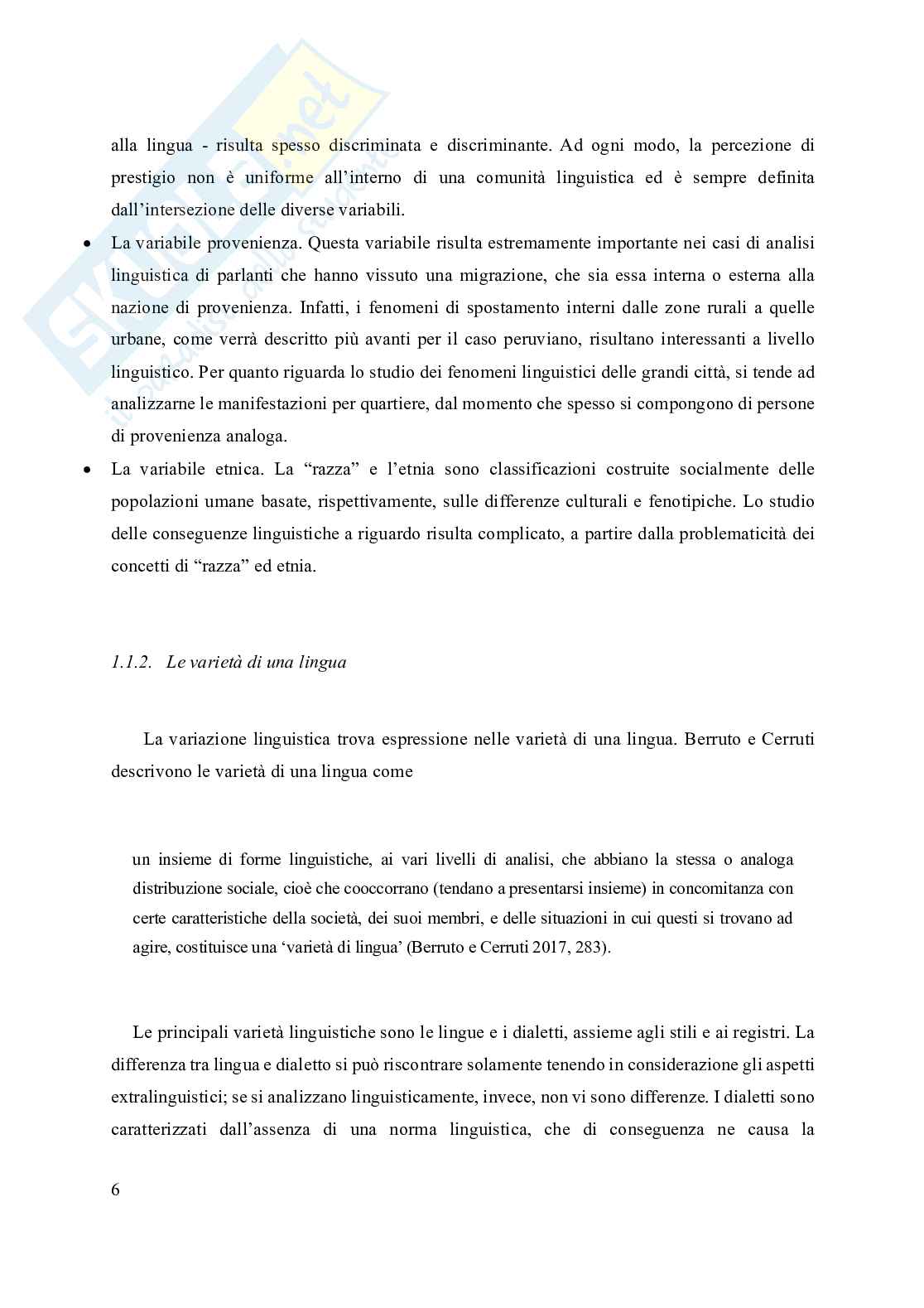 Spagnolo andino peruviano: un'analisi sociolinguistica Pag. 11