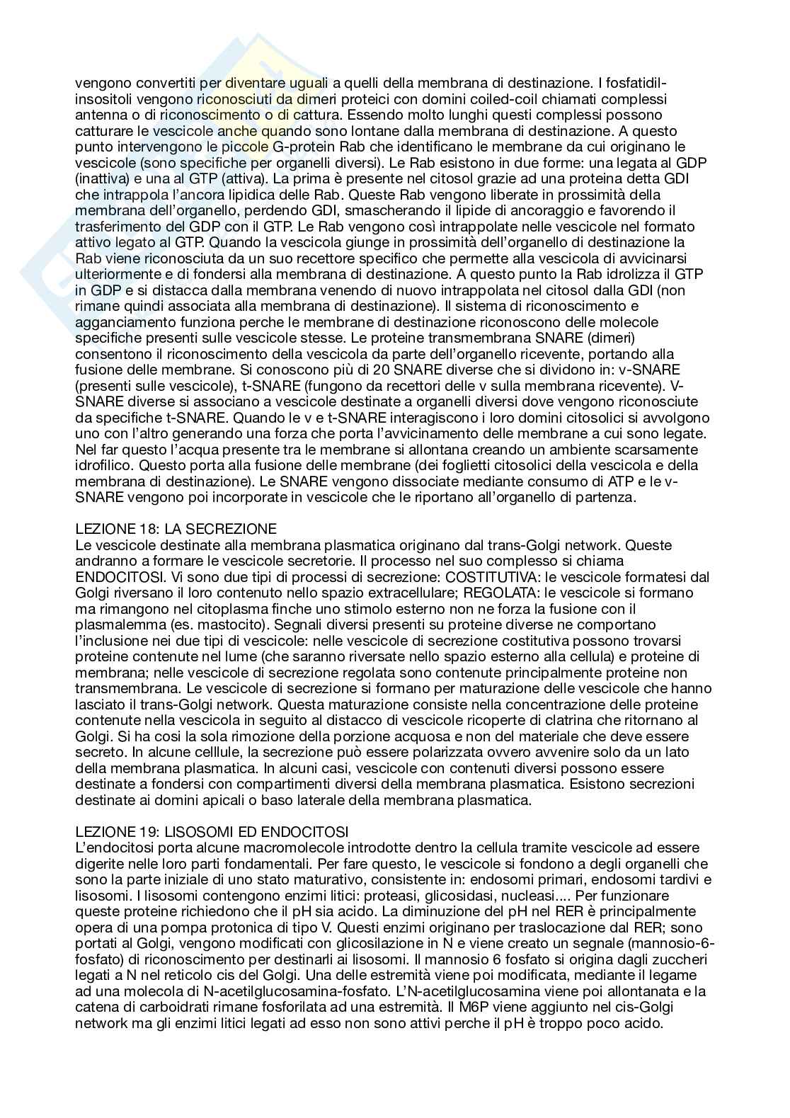 Appunti istologia e embriologia Pag. 11