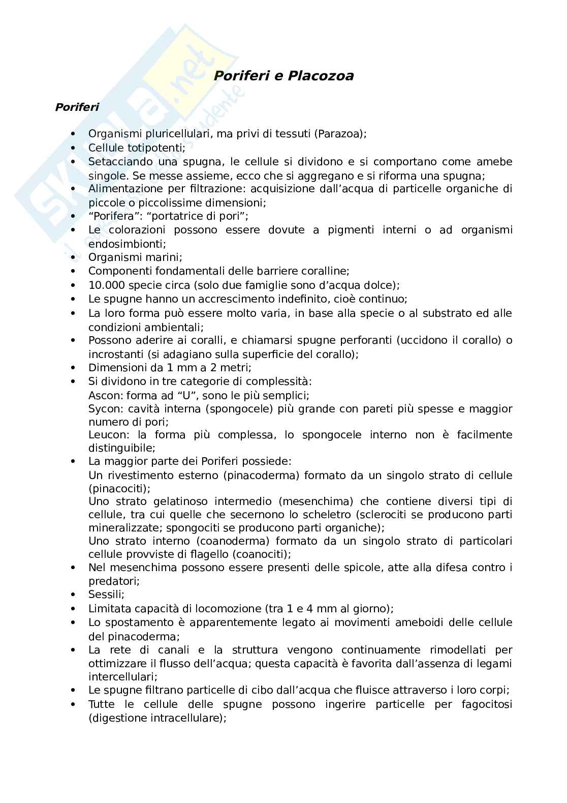 Poriferi e Placozoa Pag. 1