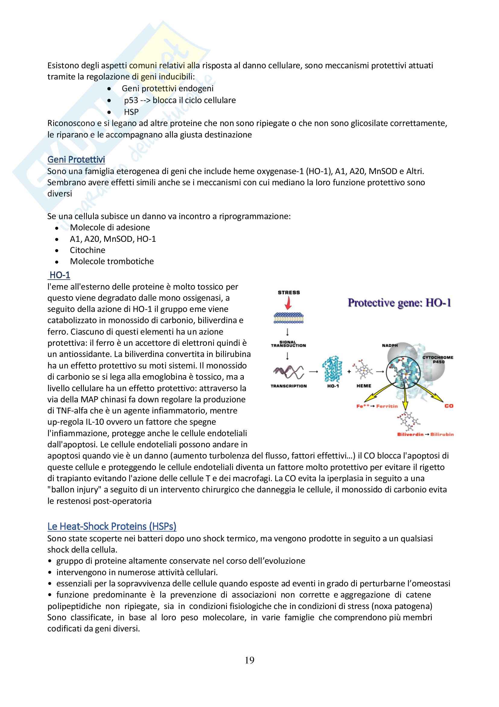 Concetti e nozioni di Patologia generale Pag. 21