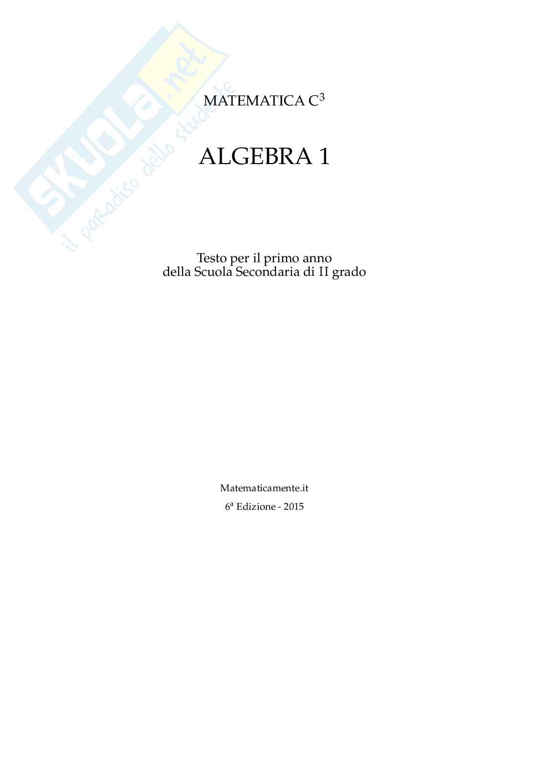 Matematica C3 Algebra 1: manuale completo per il primo anno della secondaria di secondo grado Pag. 1