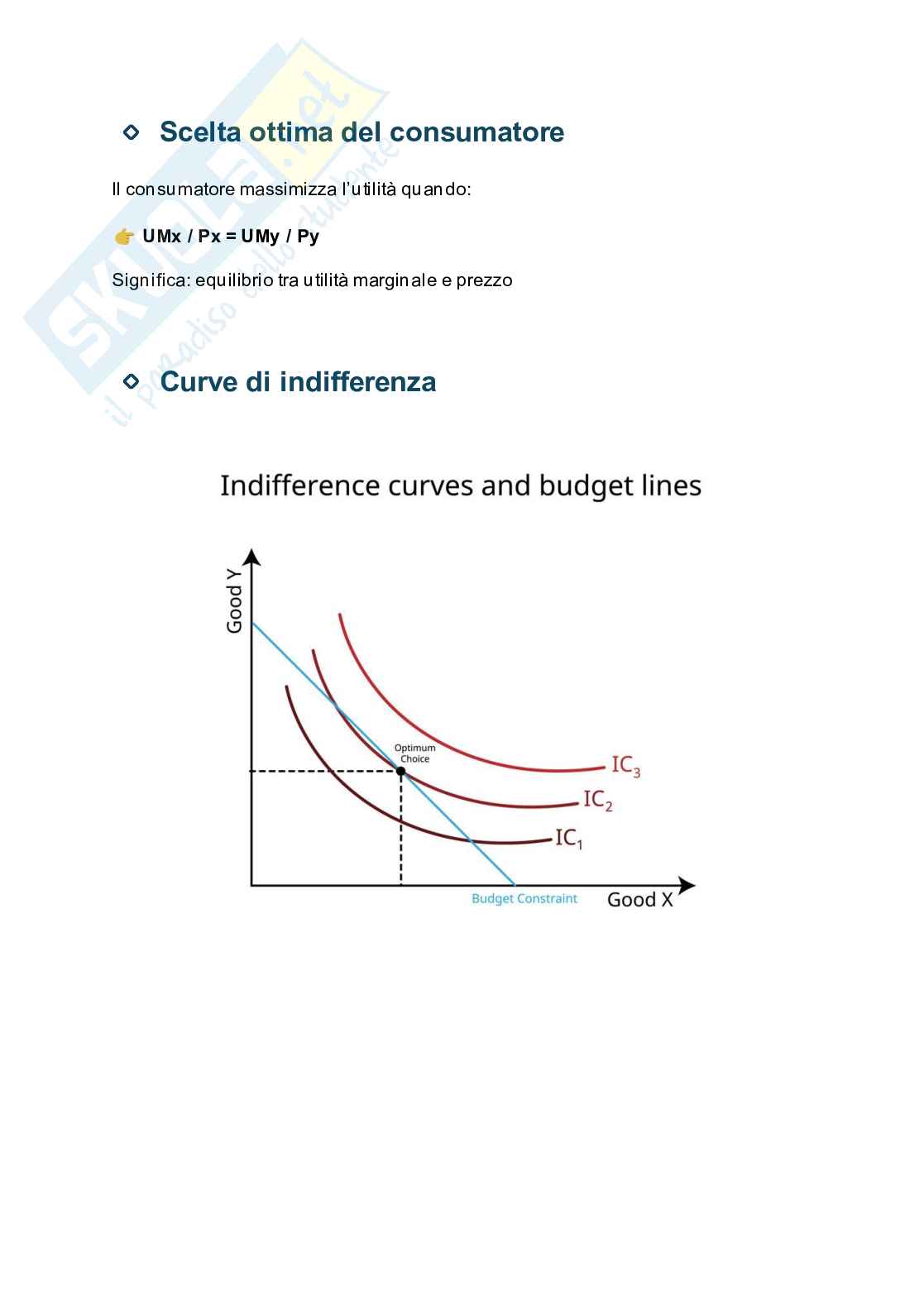 Microeconomia - Appunti Pag. 2