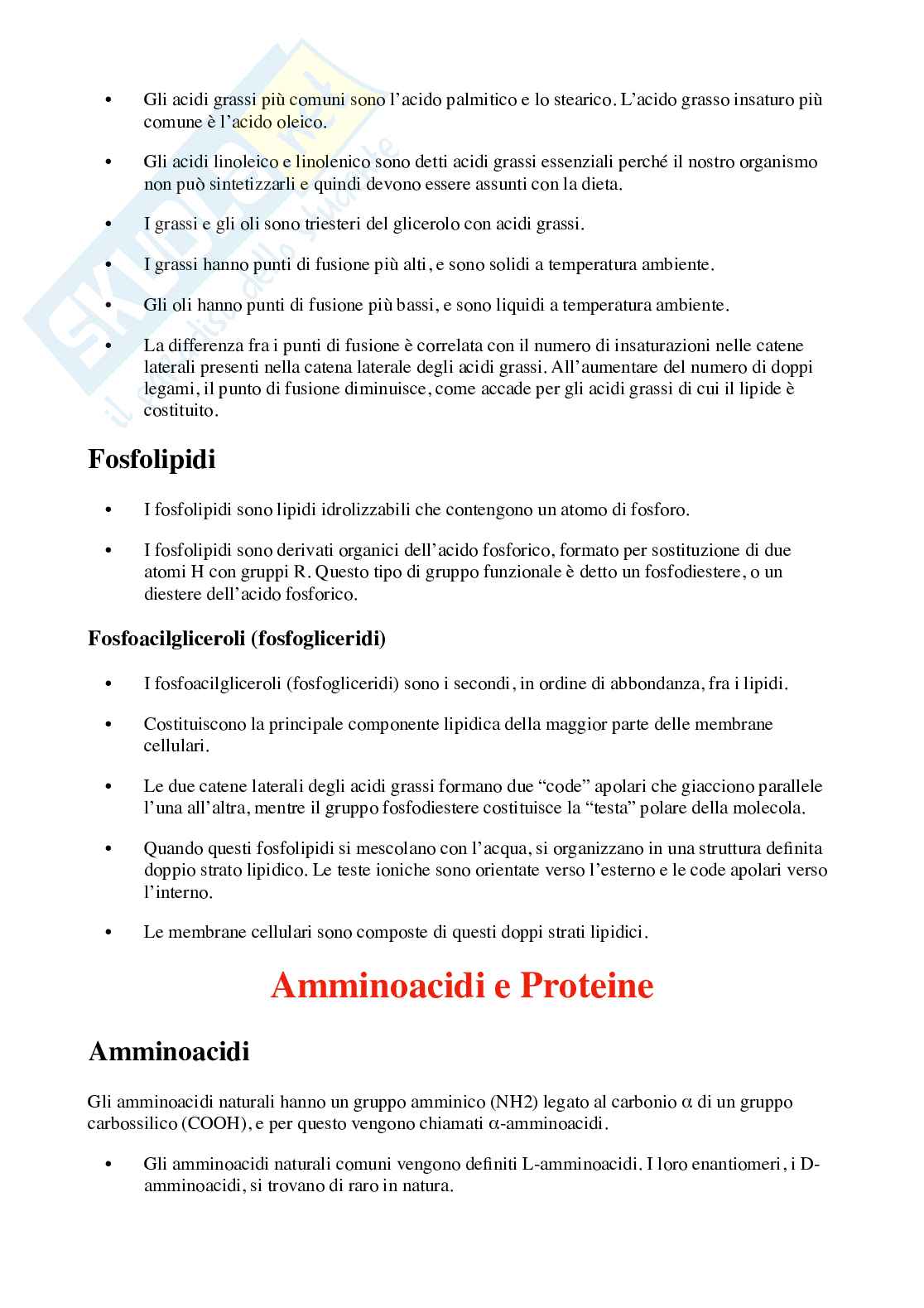 Macromolecole, Chimica organica Pag. 6
