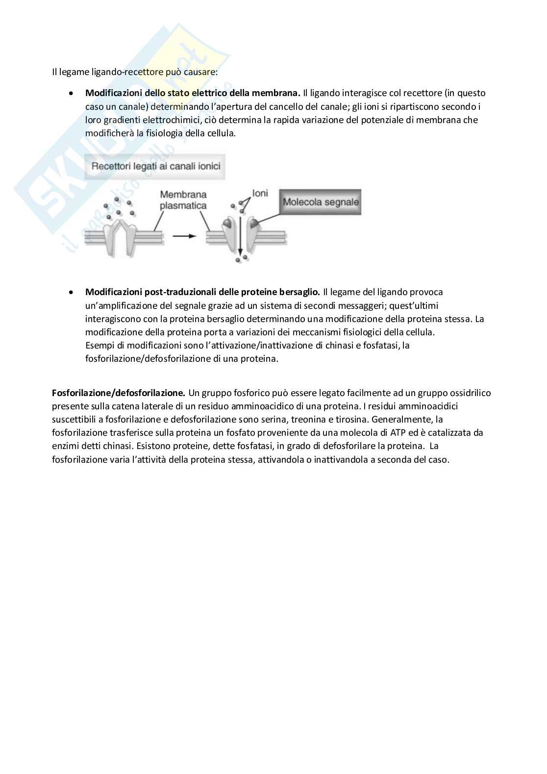 Fisiologia umana Pag. 16