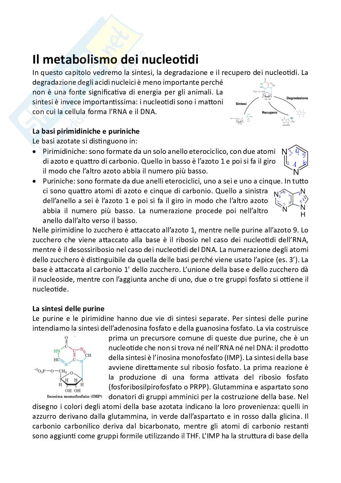 Biochimica Pag. 1