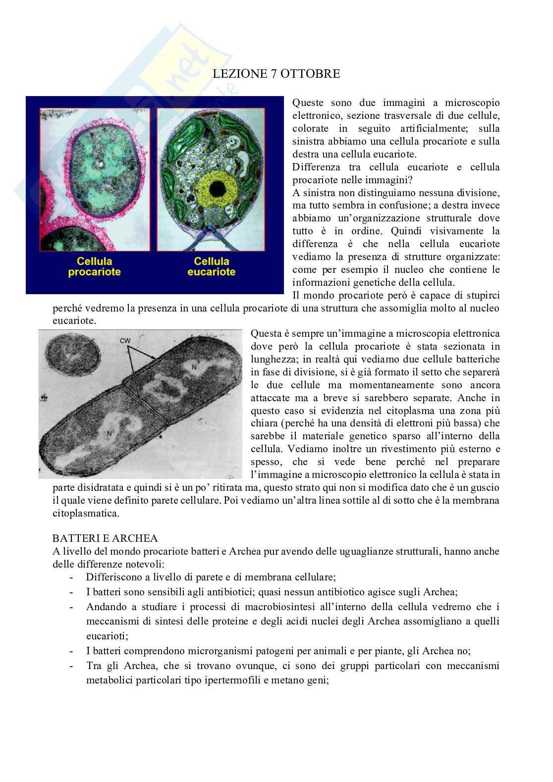 Appunti Microbiologia con laboratorio  - Lezione 4 Pag. 1