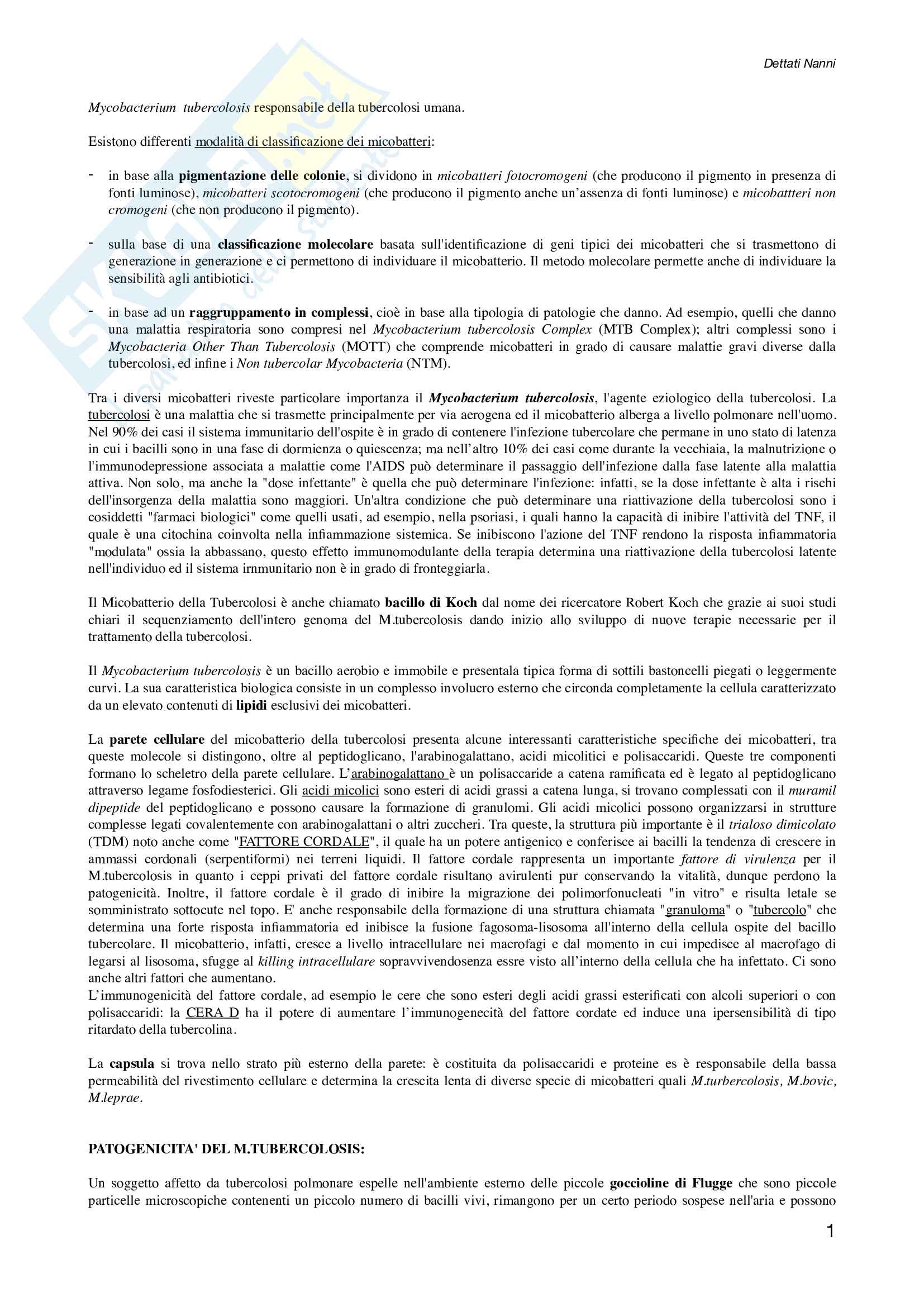 Tubercolosi Pag. 1