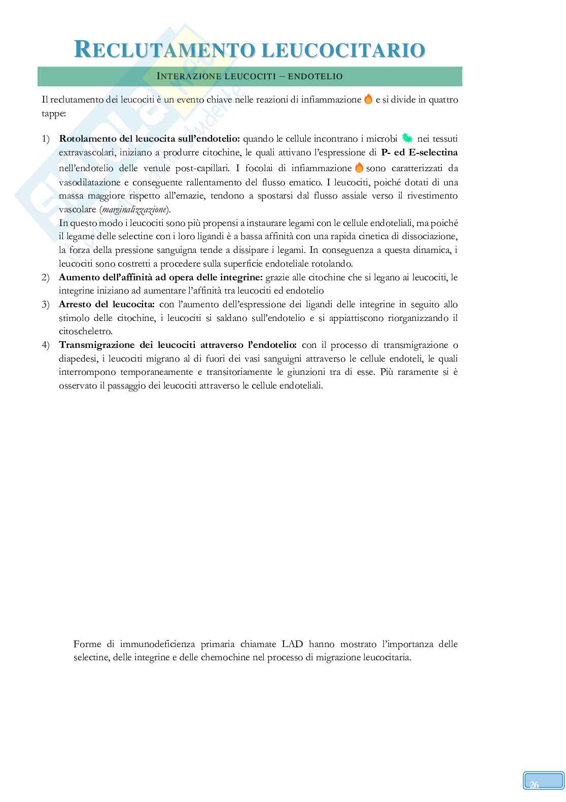 Road to Exam - Immunologia Pag. 26