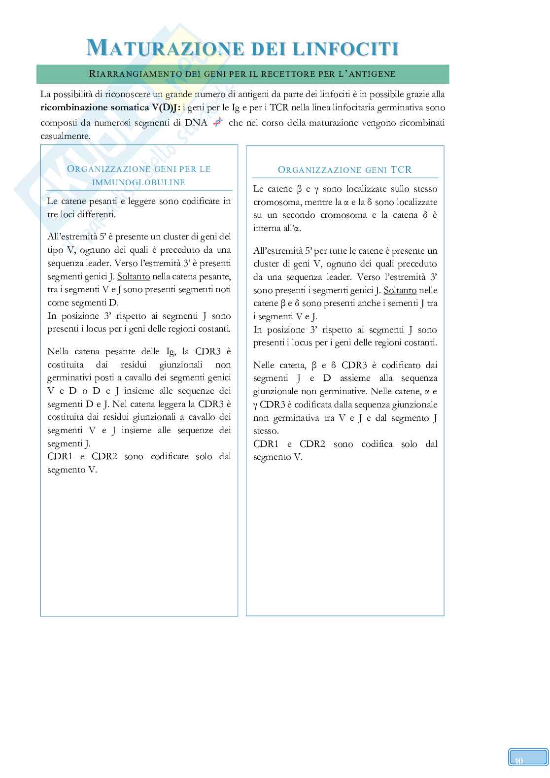 Road to Exam - Immunologia Pag. 36