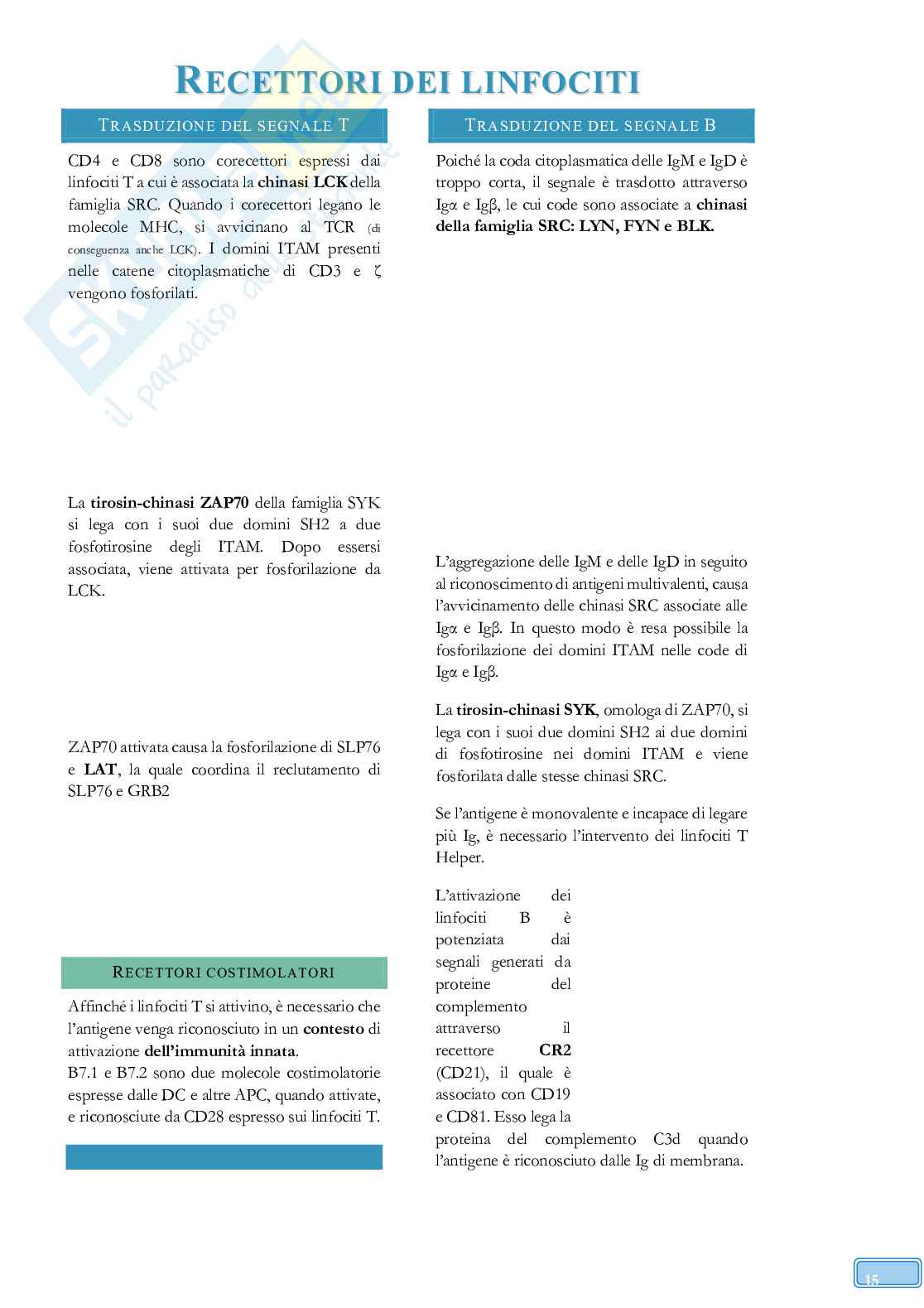 Road to Exam - Immunologia Pag. 41
