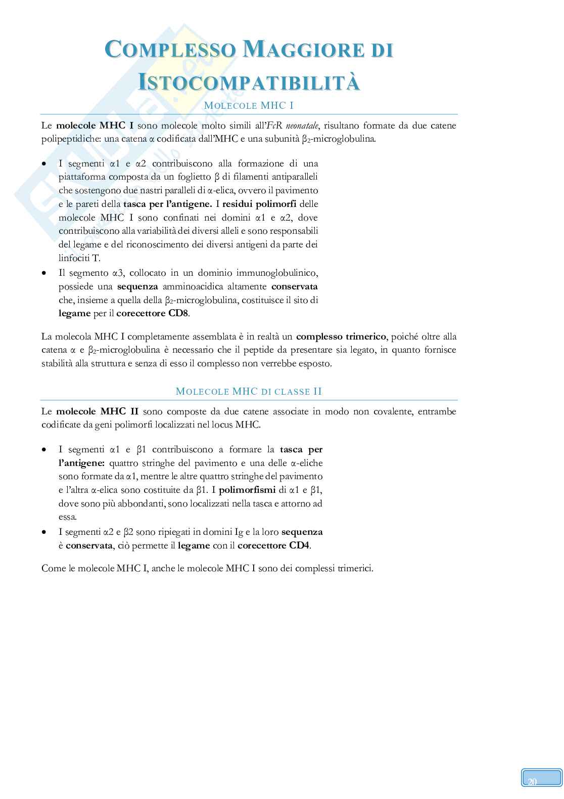 Road to Exam - Immunologia Pag. 46