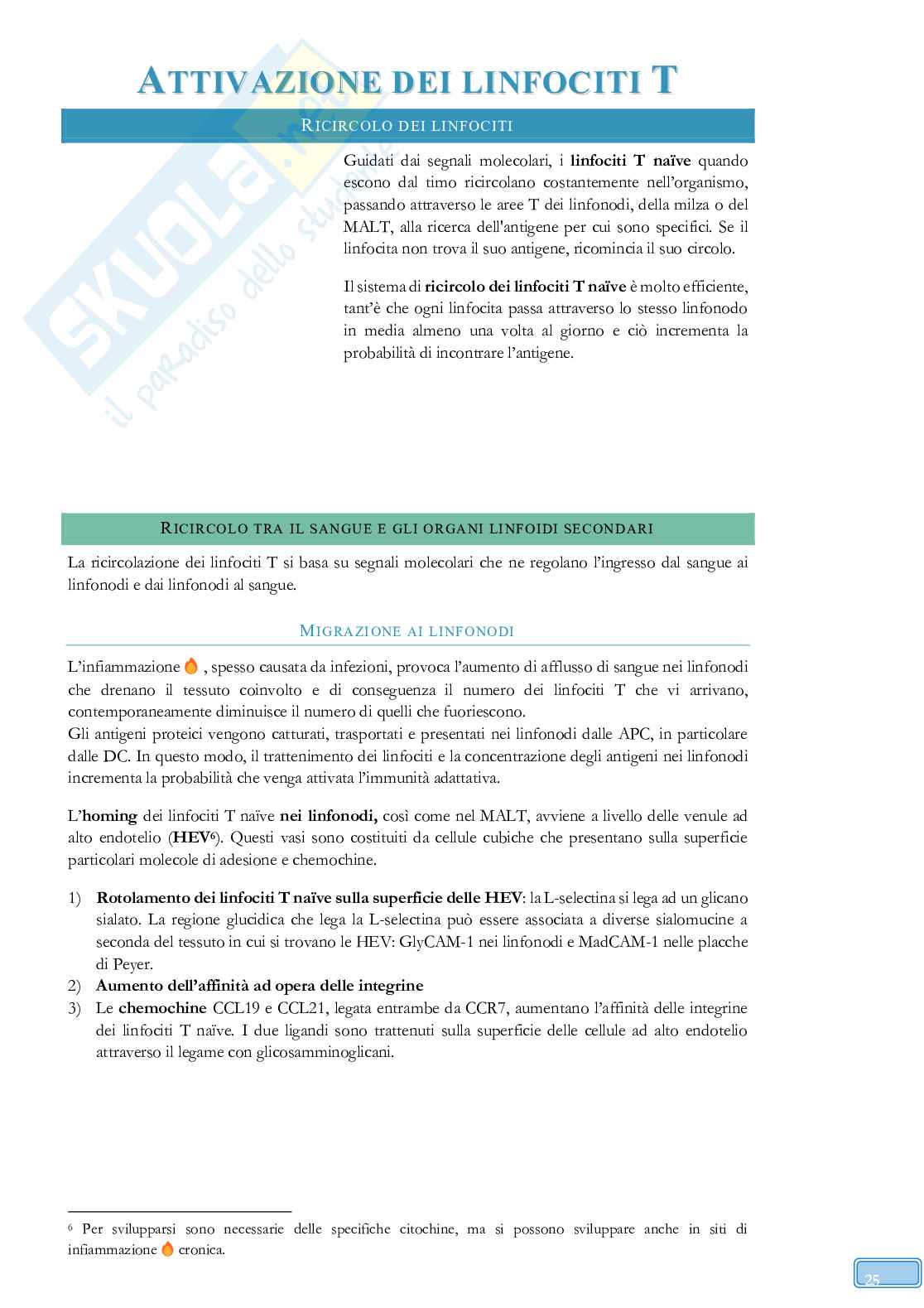Road to Exam - Immunologia Pag. 51