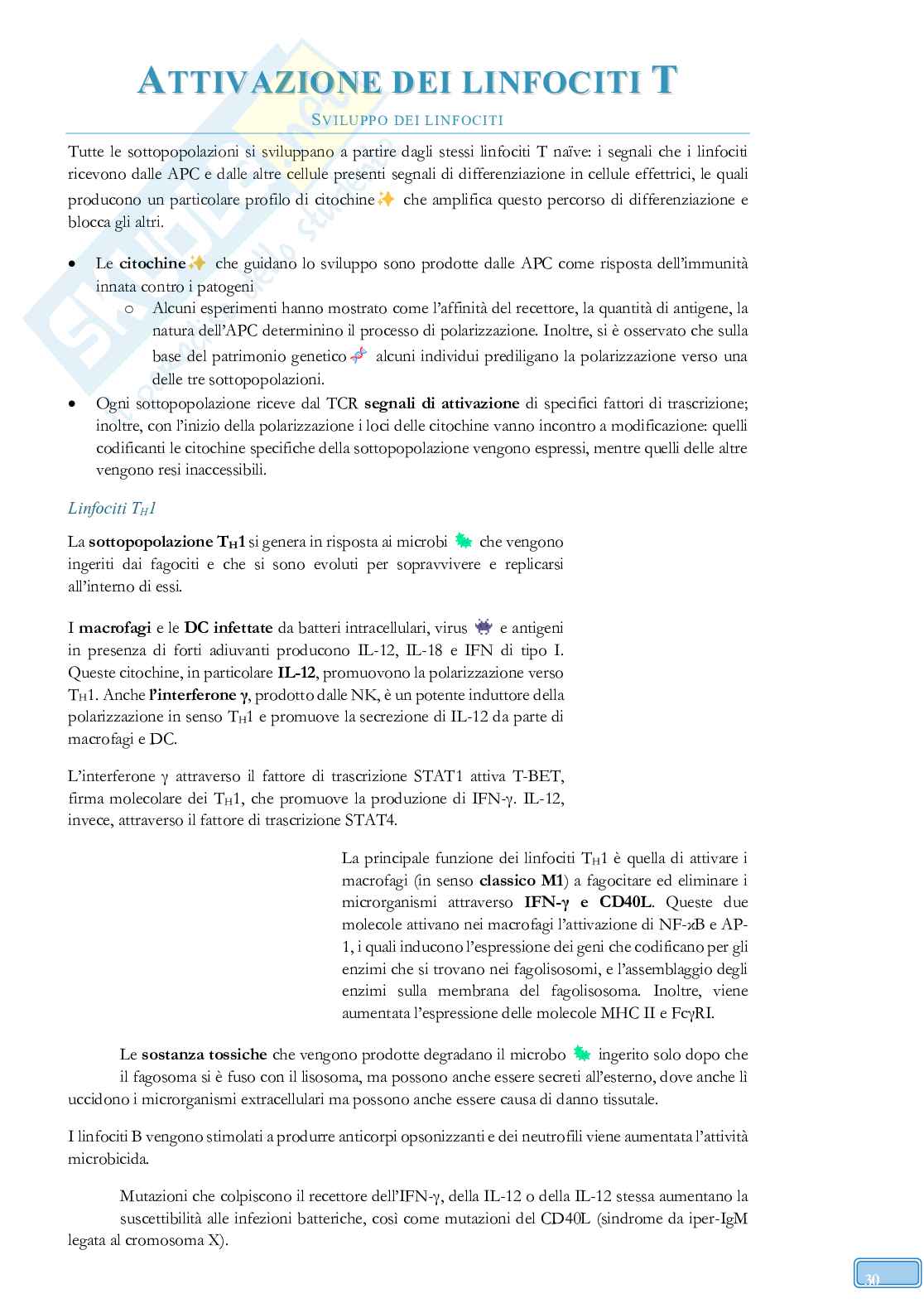 Road to Exam - Immunologia Pag. 56