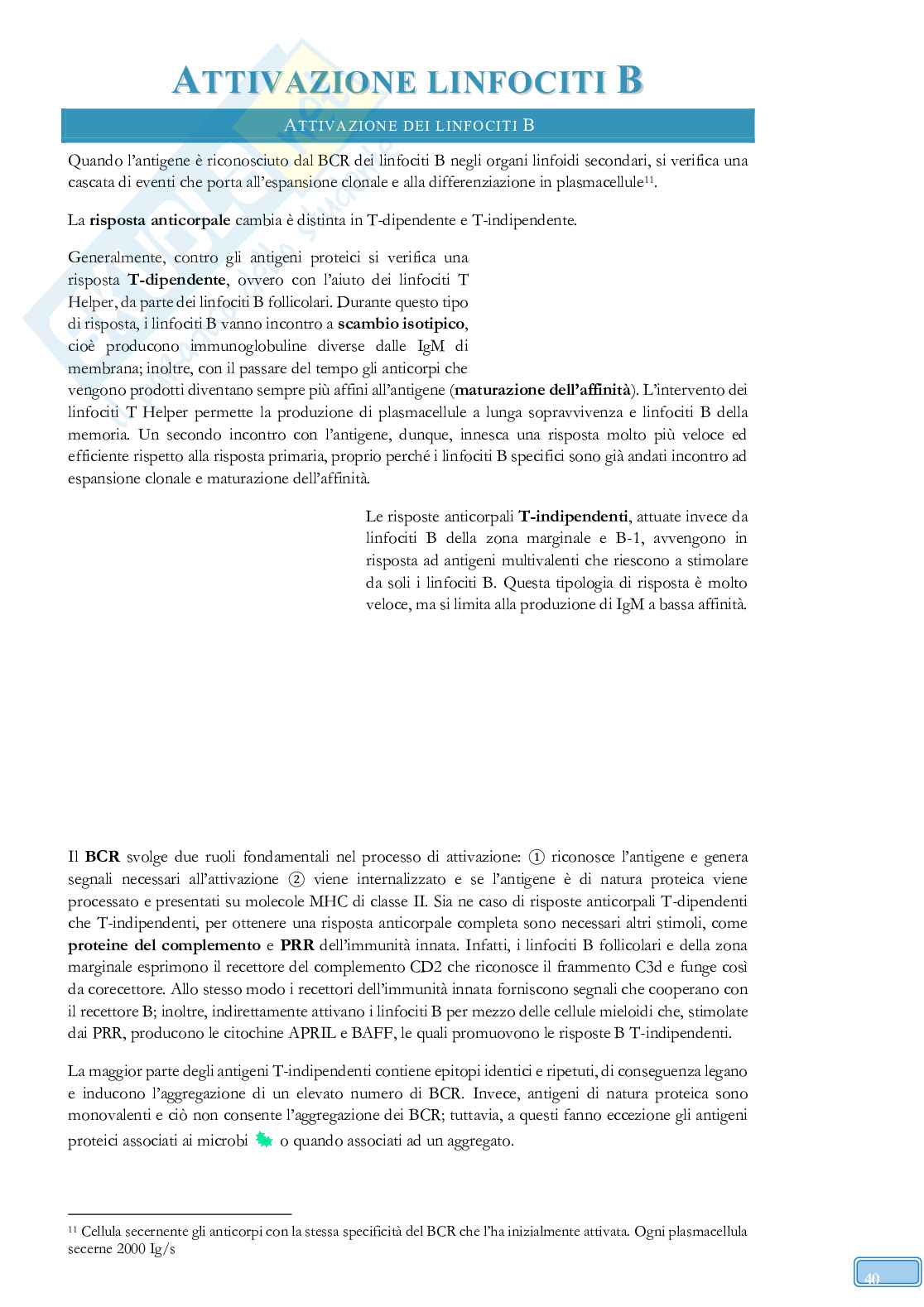 Road to Exam - Immunologia Pag. 66