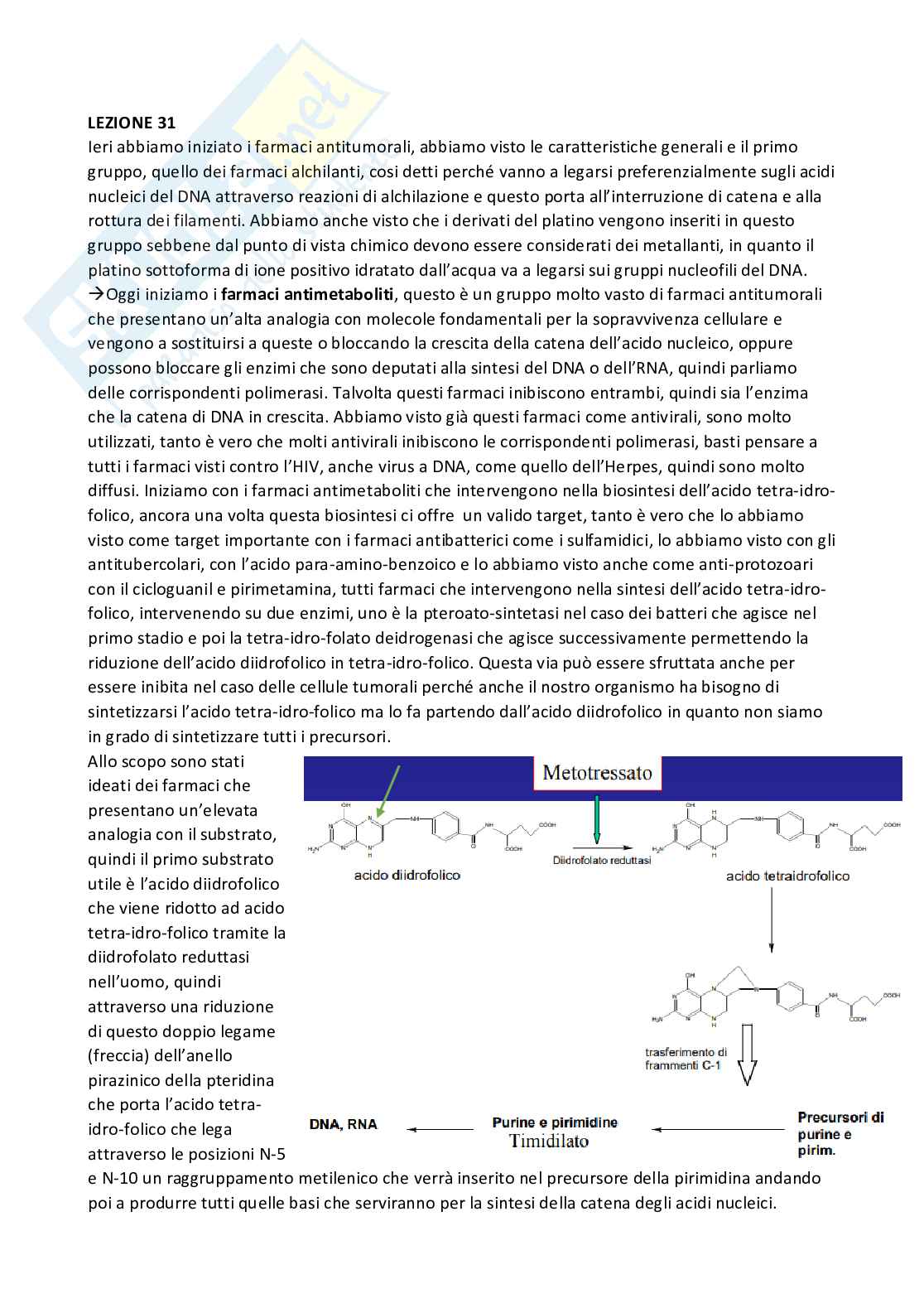 Chimica farmaceutica 1 e fitochimica - Quarta parte Pag. 1
