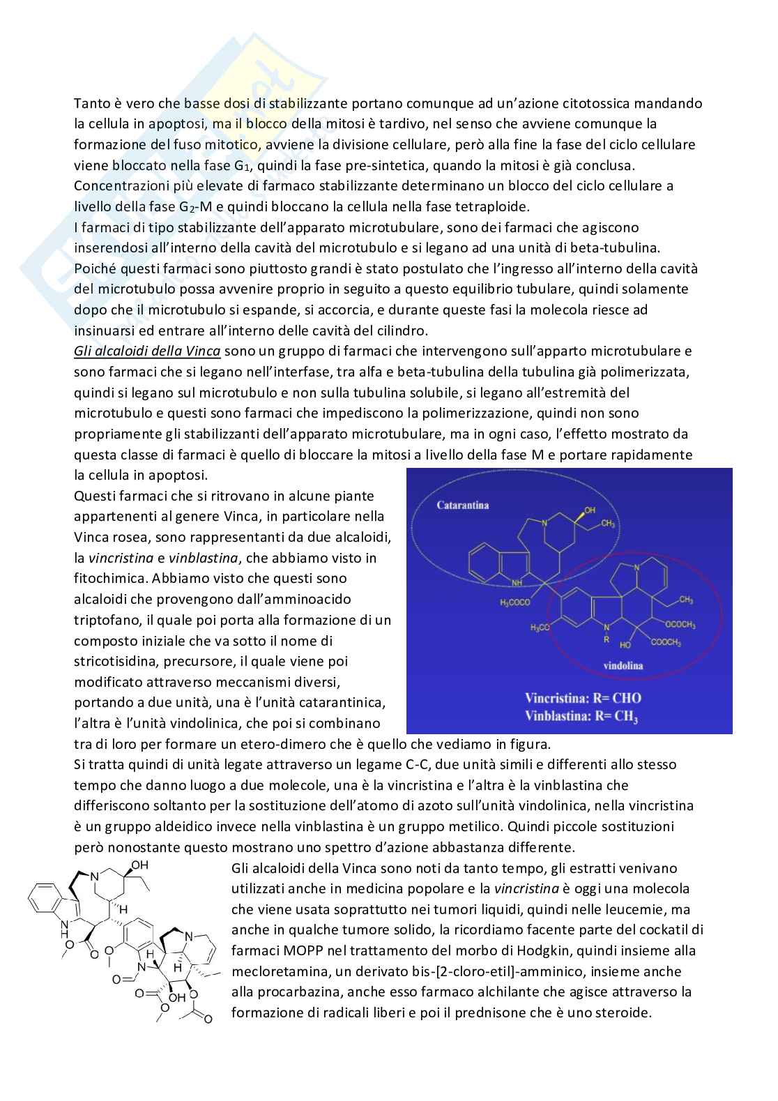 Chimica farmaceutica 1 e fitochimica - Quarta parte Pag. 11