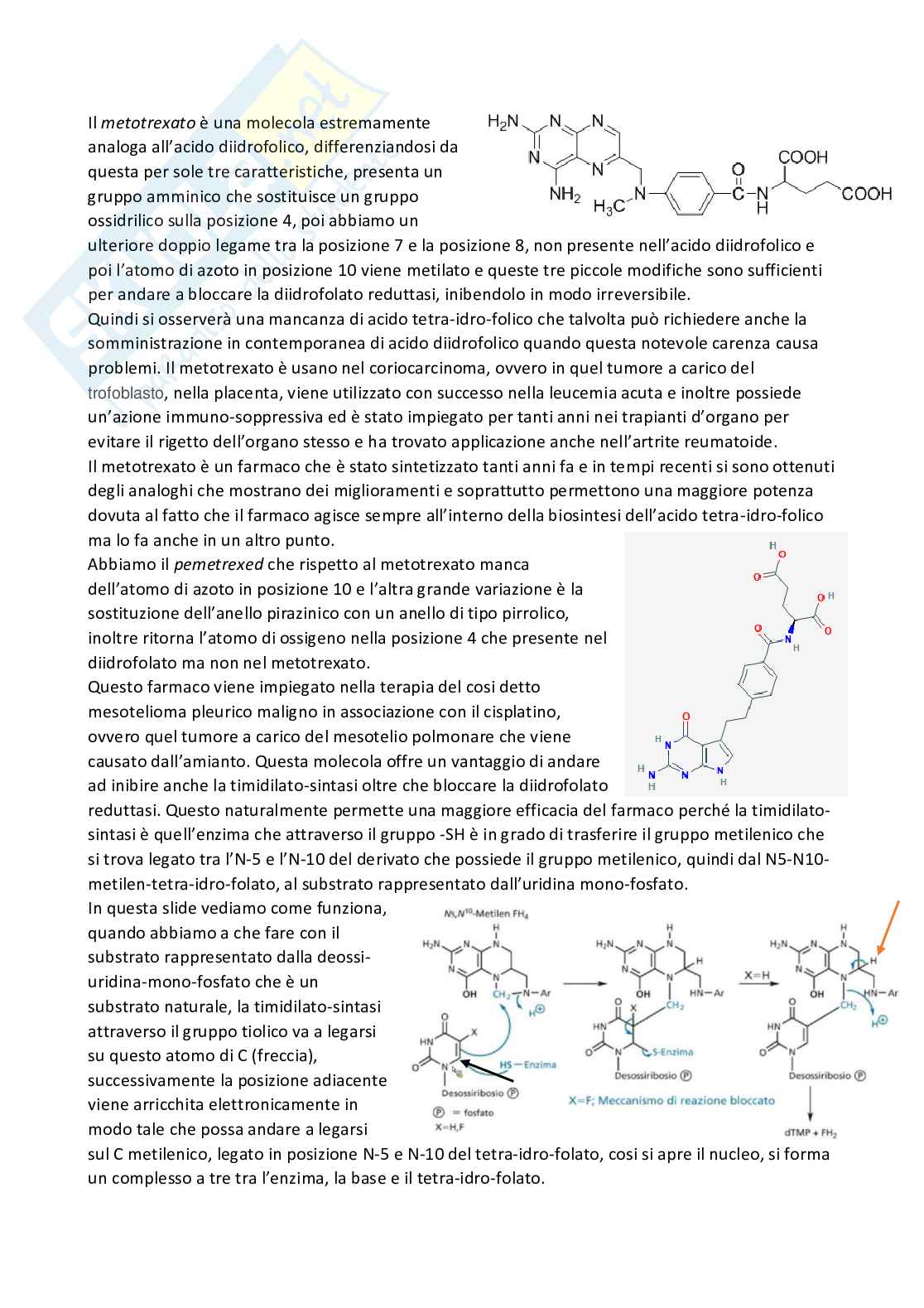 Chimica farmaceutica 1 e fitochimica - Quarta parte Pag. 2