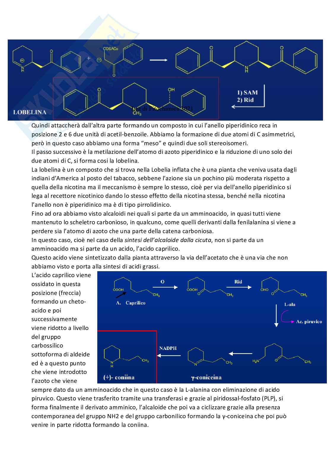 Chimica farmaceutica 1 e fitochimica - Quarta parte Pag. 21