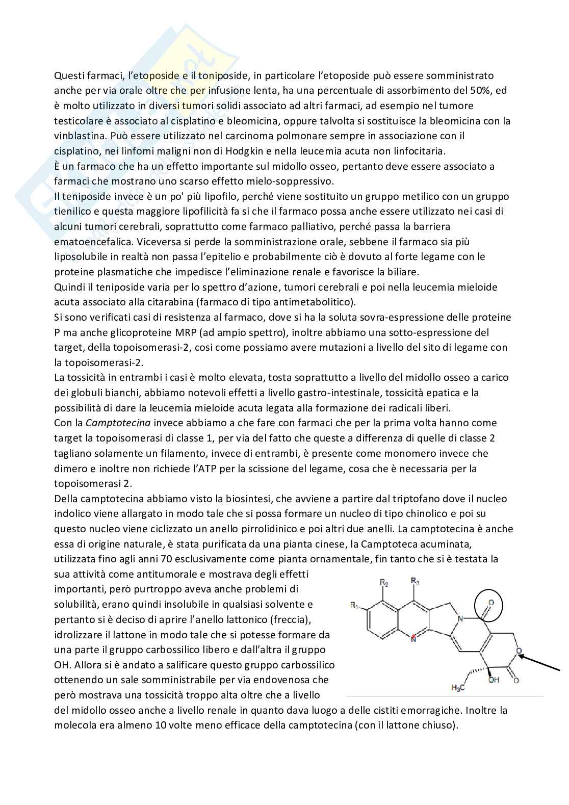 Chimica farmaceutica 1 e fitochimica - Quarta parte Pag. 26