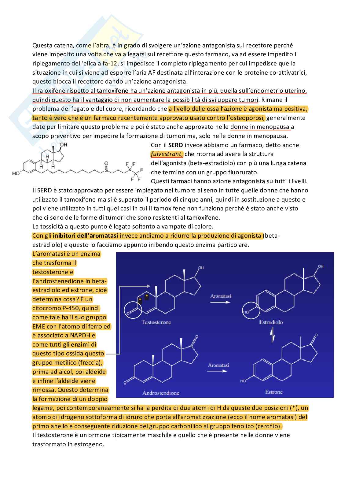 Chimica farmaceutica 1 e fitochimica - Quarta parte Pag. 41