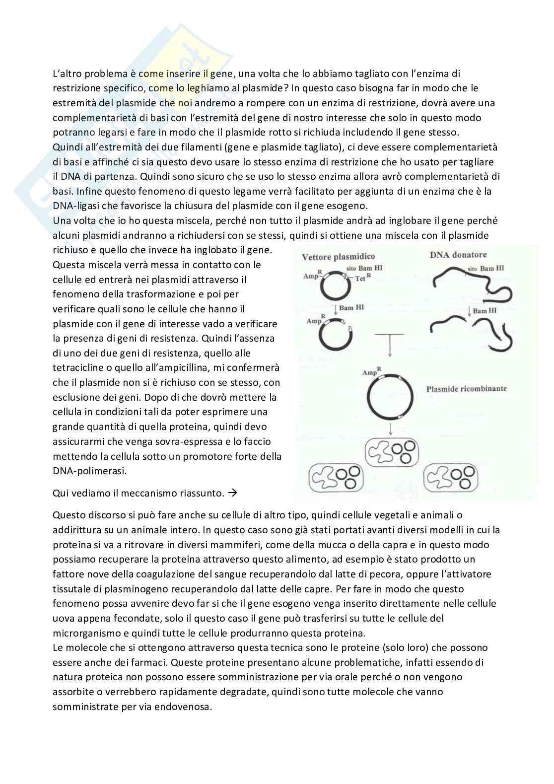 Chimica farmaceutica 1 e fitochimica - Quarta parte Pag. 46