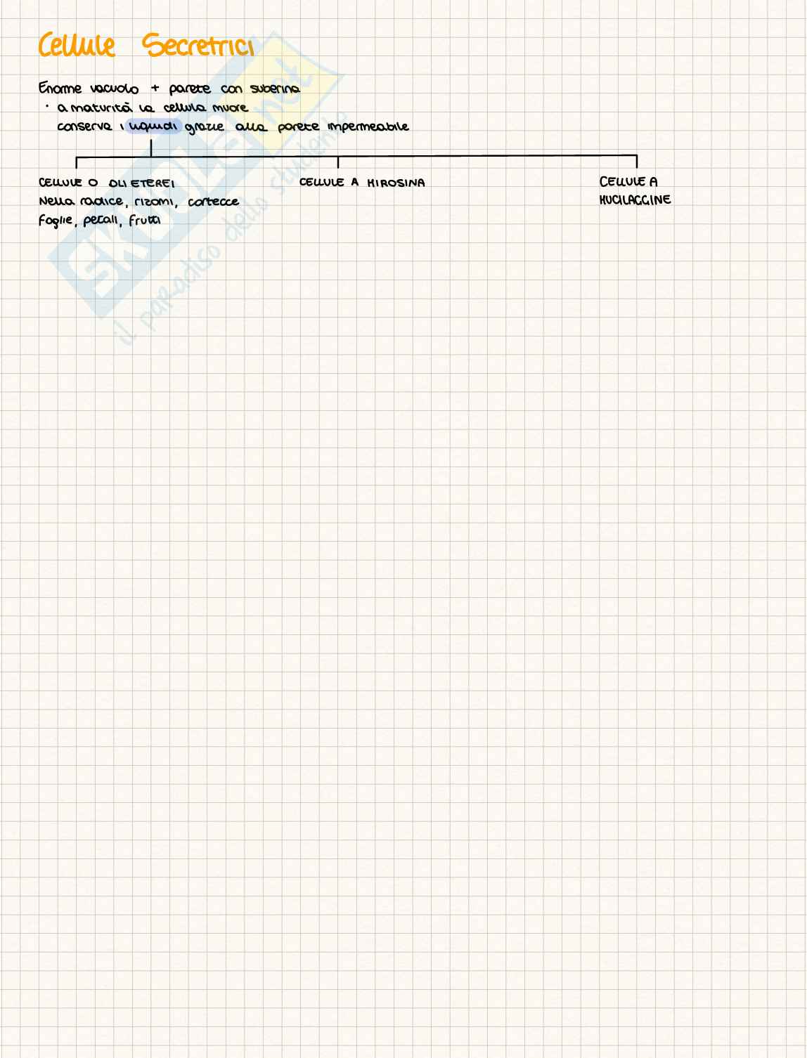 Tessuti delle piante Pag. 11